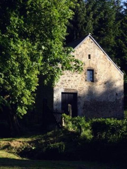 Chateau De Pont-Rilly Négreville Cameră foto